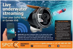 Bluewater Magazine Ad, New Products and New Website