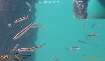 TECH TIP TUESDAY #23: CROPPING 4K UHD VIDEOS FOR HD ZOOM!!