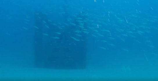 NSW DPI Port Macquarie Artificial Reef