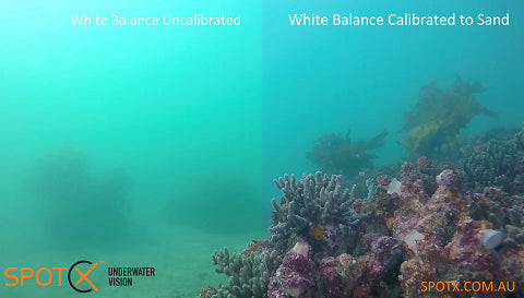 TECH TIP TUESDAY #22- EASY COLOUR FIX FOR AWESOME UNDERWATER VIDEOS